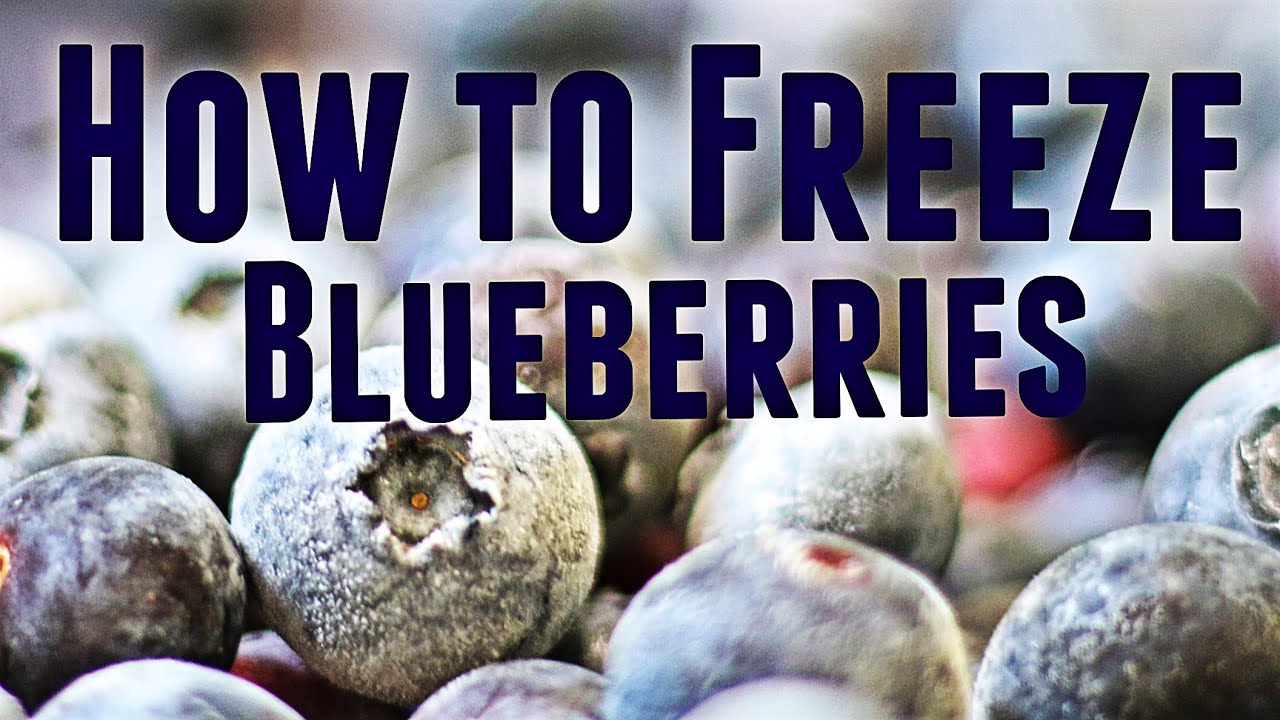 How to Freeze Blueberries