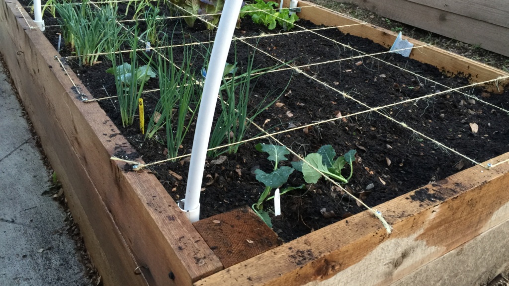 Square Foot Gardening Layout Spacing Guide By Vegetable square-foot-gardening-layout-spacing-guide-by-vegetable