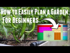 How To Plan A Vegetable Garden