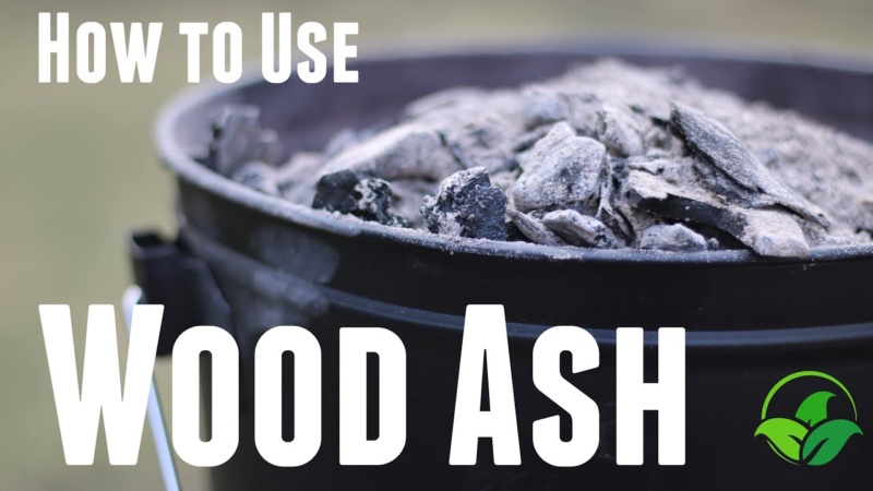 How to Use Wood Ash In The Garden - Wood Ash Fertilizer - Organic ...