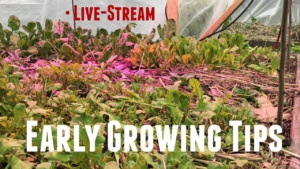 Key Tips To Grow More Food - Early Season Hacks - Zone 5b Garden Tour