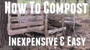 How to Compost for Beginners