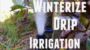 How to Winterize Drip Irrigation Fall Winter Raised Bed Gardening - Raised Bed Drip Irrigation