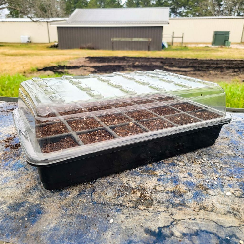 Seed Starting Tray