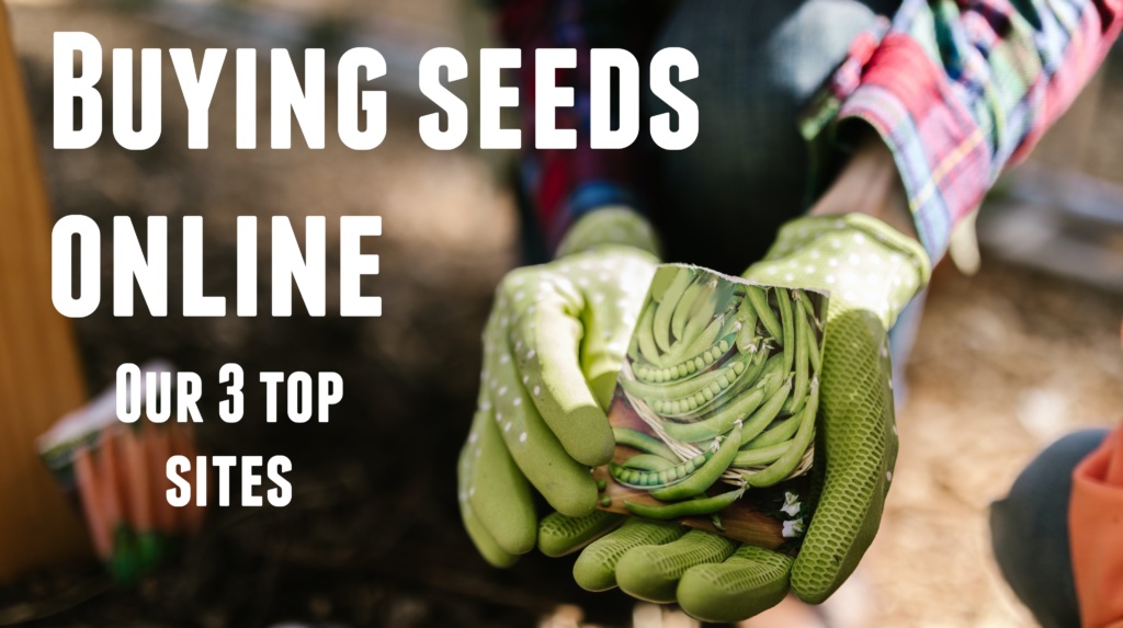 Where to Buy Seeds Online