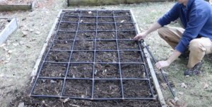 Garden in Minutes Reviews