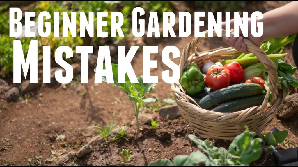 6 Beginner Gardening Mistakes to Avoid - Vegetable Gardening Tips for Beginners