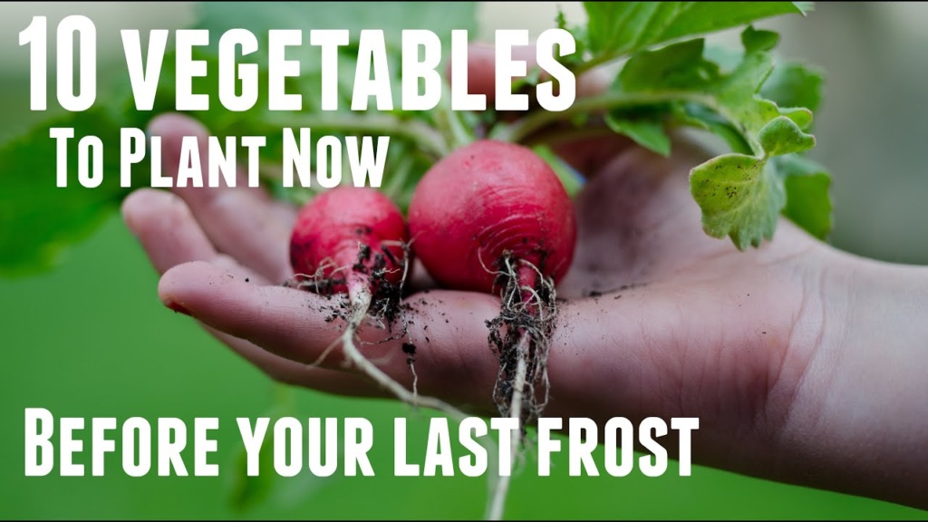 10 Crops You Can Direct Sow Before Your Last Frost | Vegetable Gardening Tips | Garden Planning