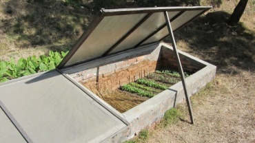 5 Tips for Using a Cold Frame