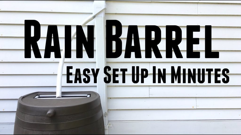 How to Set Up a Rain Barrel