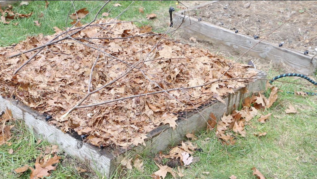 Prepare Your Garden for Winter in 11 Easy Steps 