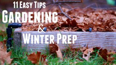 Prepare Your Garden for Winter