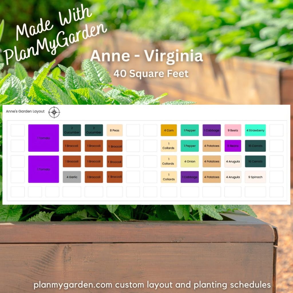Two 5' x 4' raised bed vegetable garden layout - for Square Foot Gardening