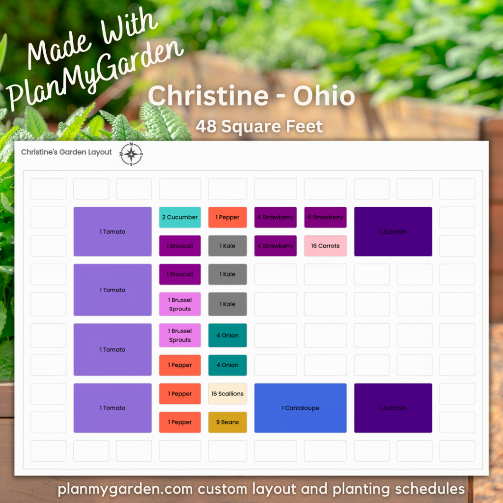 keyhole raised bed vegetable garden layout