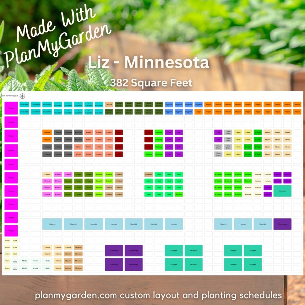 Large raised bed vegetable garden layouts
