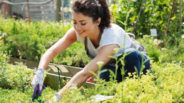 How-to-Plan-A-Vegtable-Garden-From-Scratch