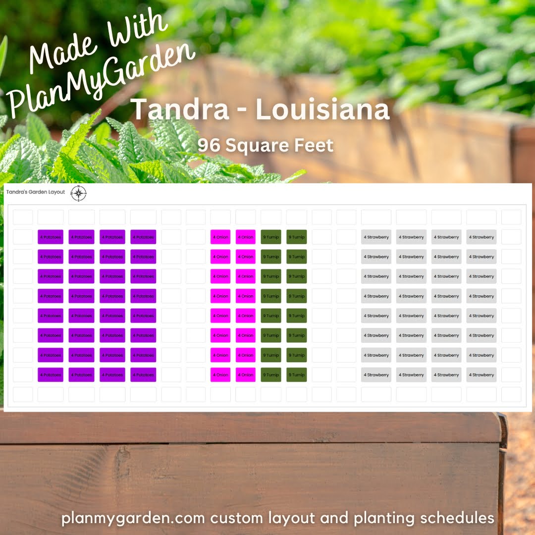 2 4x8 raised bed vegetable garden layout