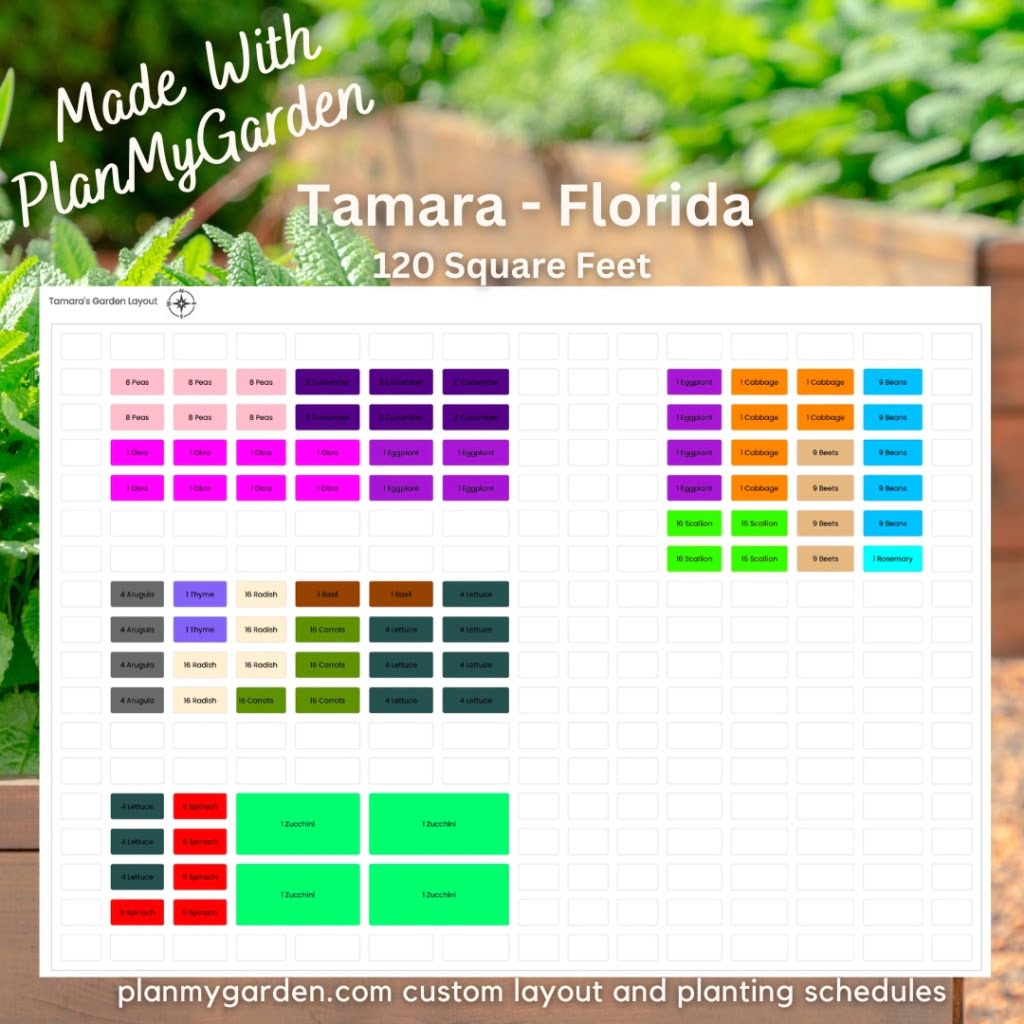 Large raised bed vegetable garden layouts