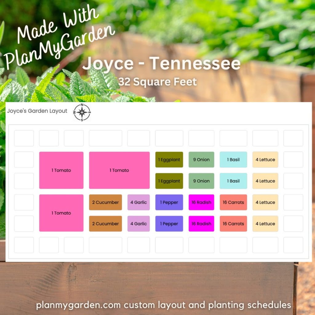 raised bed vegetable garden layout with Tomatoes Eggplant and Onions
