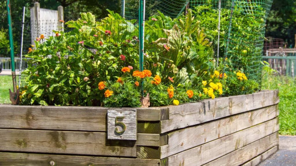 when is the best time to plant a vegetable garden