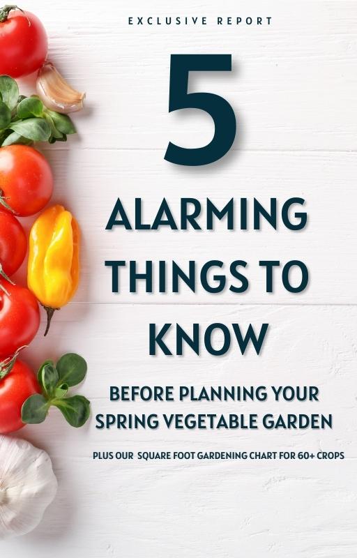 5 Alarming Things To Know Before Planing Your First Spring Vegetable Garden