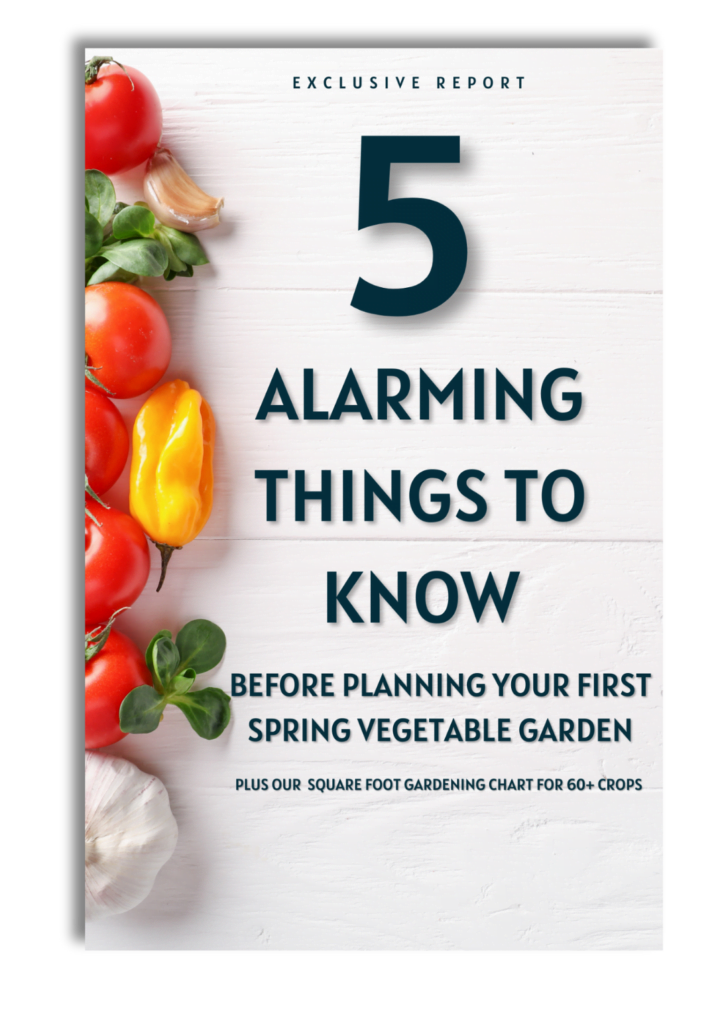 5 Alarming Things To Know Before Planing Your First Spring Vegetable Garden