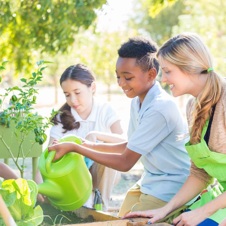 Garden Planning for Educators
