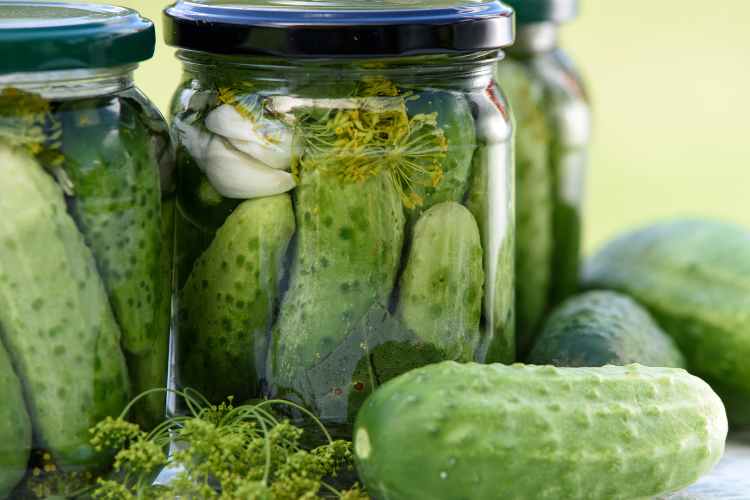 Learn how to make crisp and delicious dill pickles overnight without any canning. This simple recipe, featuring mustard seed and peppercorns, is so easy it feels like cheating!