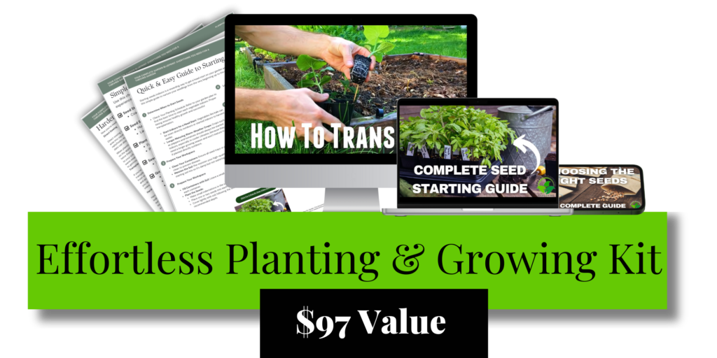 Effortless Planting and Growing