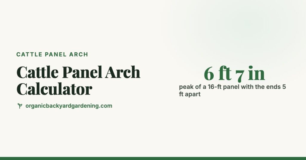 Cattle Panel Arch Calculator: Height, Span and Panel Length