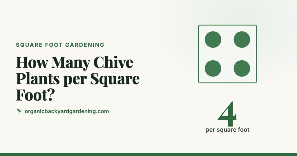 How Many Chive Plants per Square Foot?