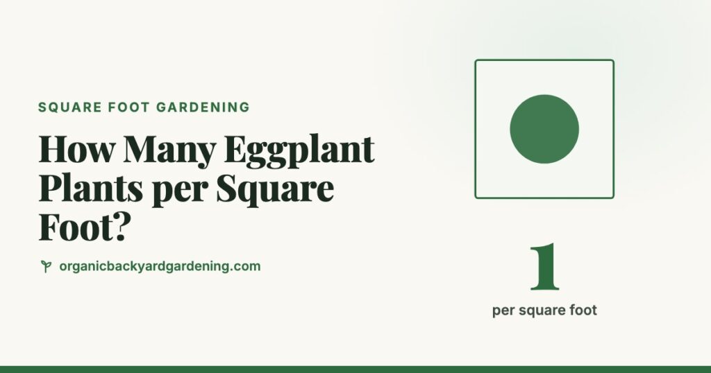 How Many Eggplant Plants per Square Foot?