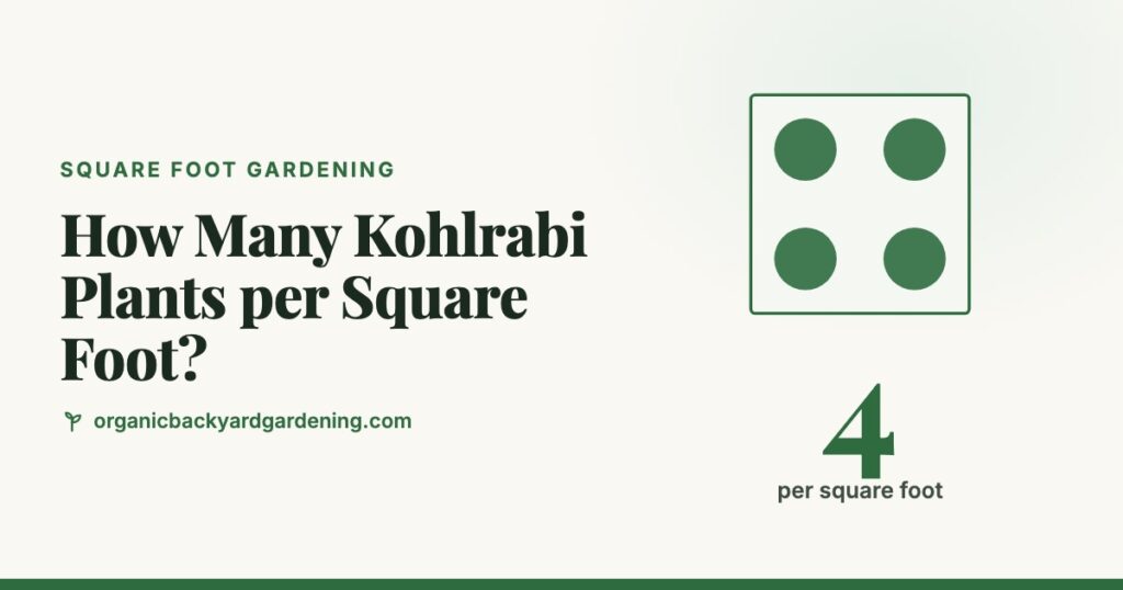 How Many Kohlrabi Plants per Square Foot?