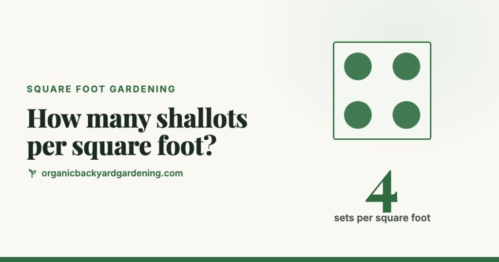 How Many Shallots per Square Foot?