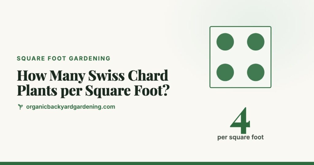 How Many Swiss Chard Plants per Square Foot?