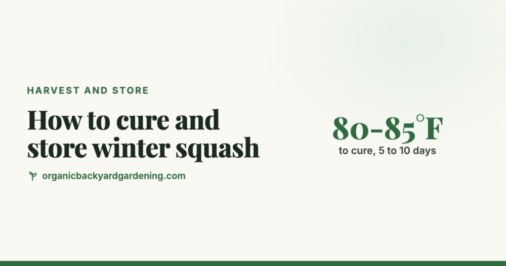 How to Cure and Store Winter Squash (Butternut, Acorn, Spaghetti and More)