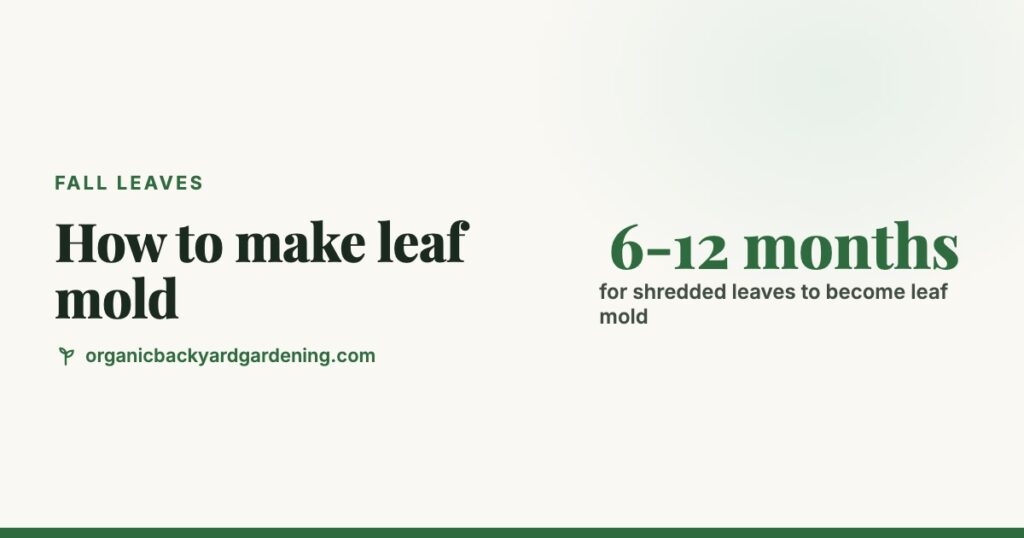 How to Make Leaf Mold: Bags, Bins, and How Long It Takes