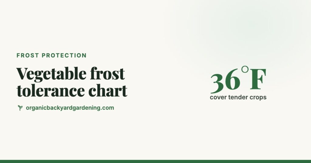 Vegetable Frost Tolerance Chart: Which Crops Survive 32°F, 28°F and Below