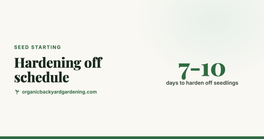 Hardening Off Seedlings: A Day-by-Day Schedule