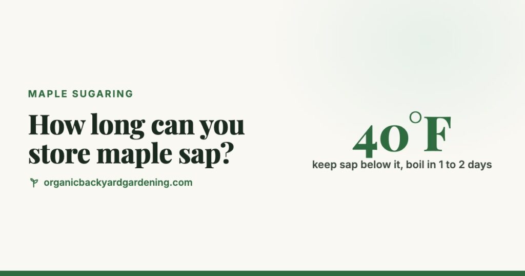 How Long Can You Store Maple Sap Before Boiling?