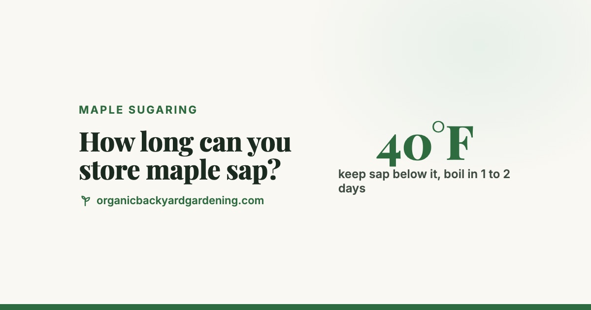 how-long-can-you-store-maple-sap-v2 How Long Can You Store Maple Sap Before Boiling?