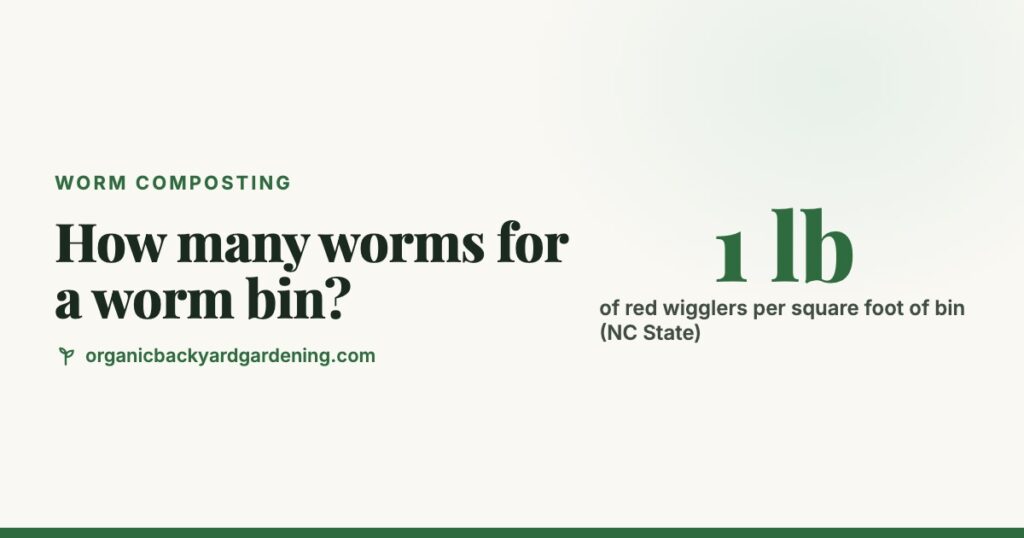How Many Worms Do I Need for a Worm Bin?