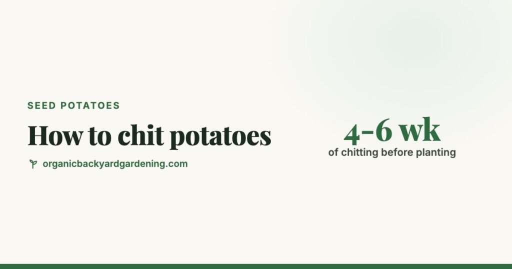 How to Chit Potatoes Before Planting