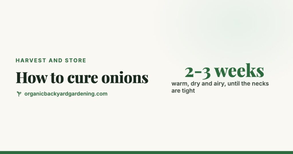 How to Harvest, Cure and Store Onions