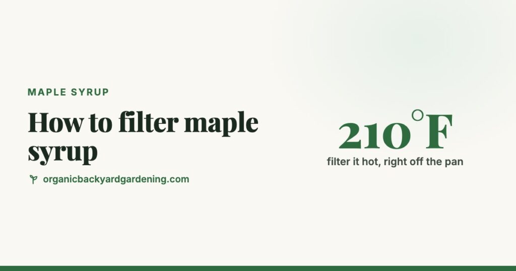 How to Filter Maple Syrup (and What Sugar Sand Is)