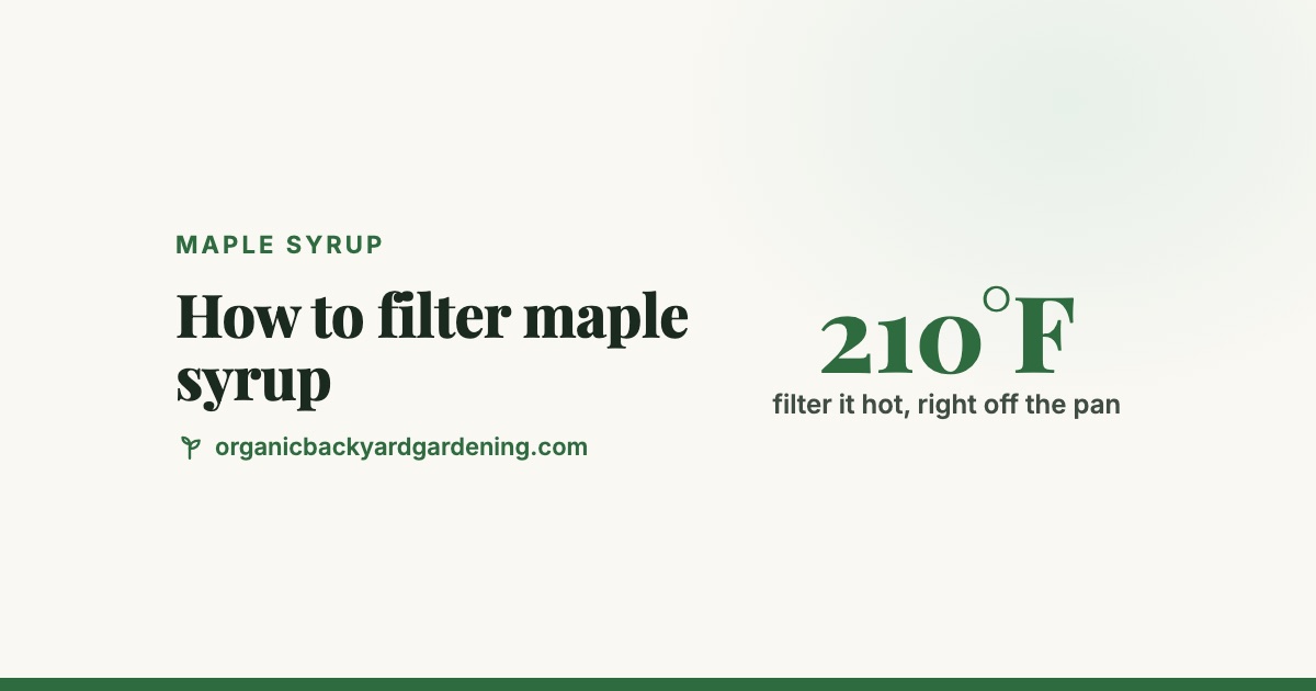 how-to-filter-maple-syrup-v2 How to Filter Maple Syrup (and What Sugar Sand Is)
