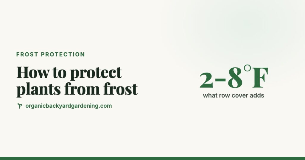How to Protect Plants from Frost