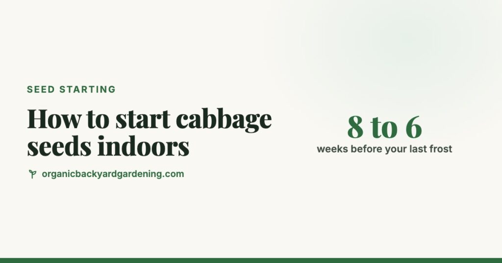 How to Start Cabbage Seeds Indoors