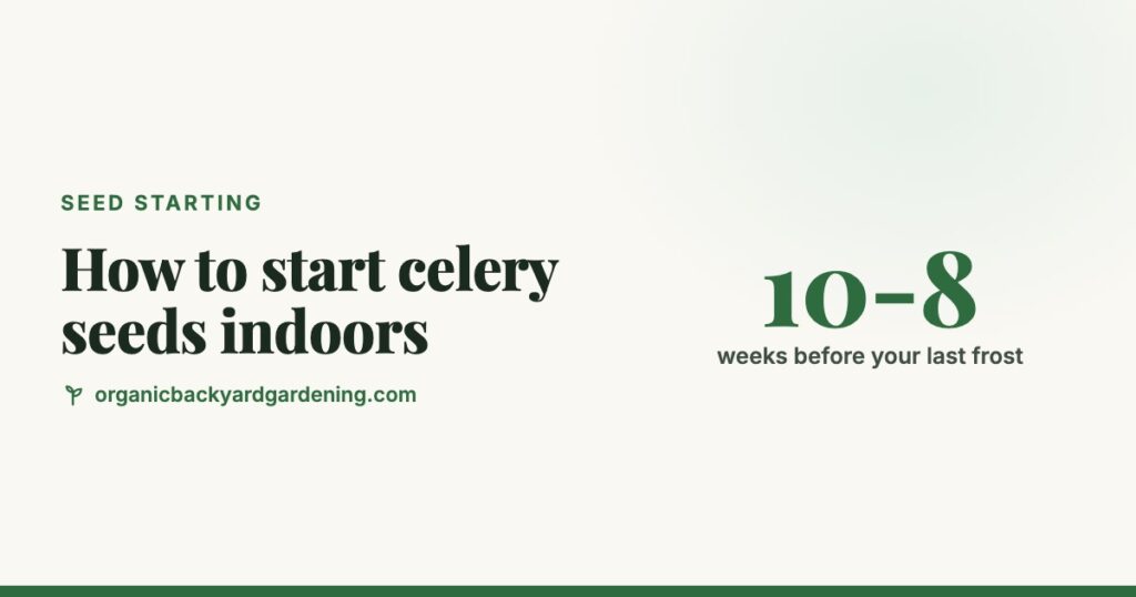 How to Start Celery Seeds Indoors