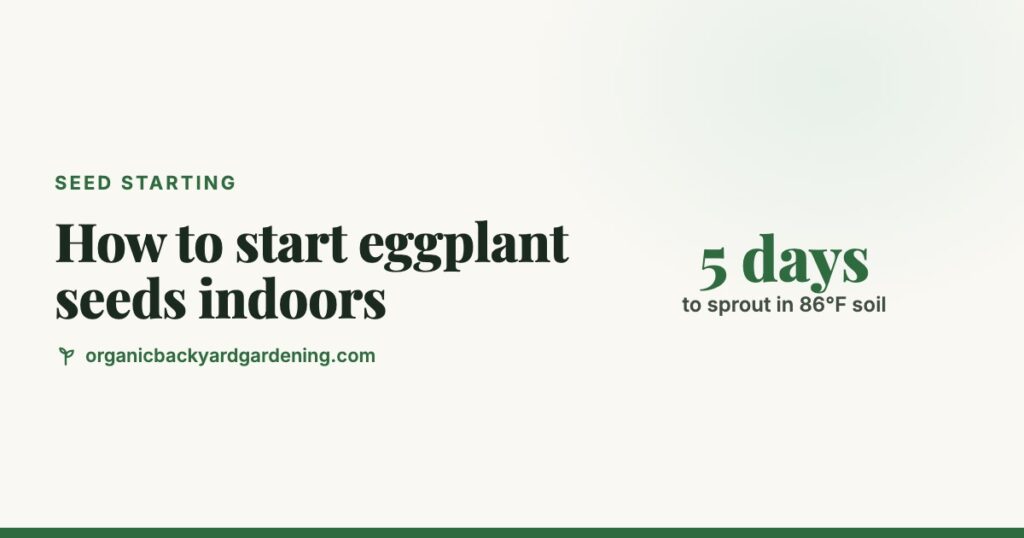 How to Start Eggplant Seeds Indoors